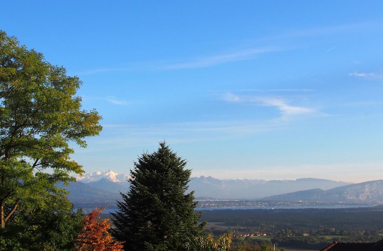 Les Lumieres De Geneve Bed & Breakfast Grilly Exterior foto