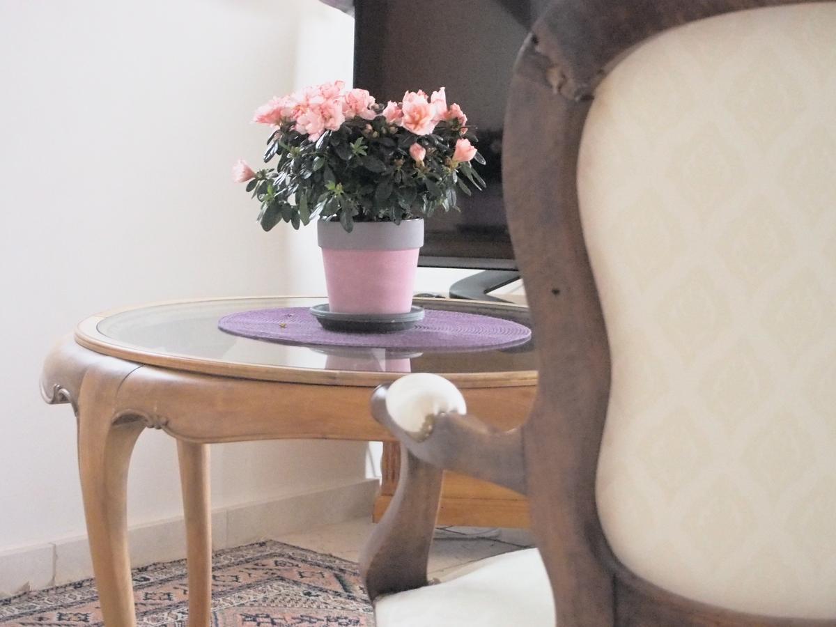 Les Lumieres De Geneve Bed & Breakfast Grilly Exterior foto