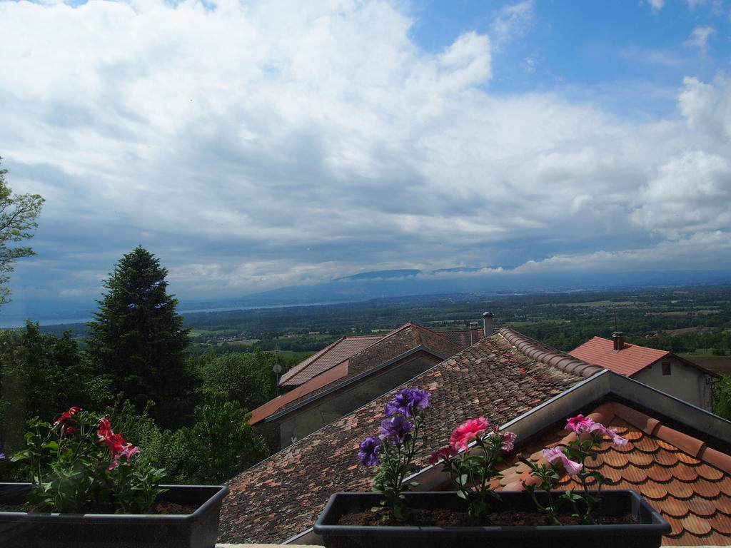 Les Lumieres De Geneve Bed & Breakfast Grilly Exterior foto