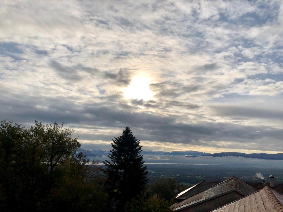 Les Lumieres De Geneve Bed & Breakfast Grilly Exterior foto